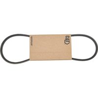 Caterpillar Belt 2206406