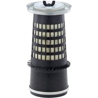 MANN-FILTER Air filter C14010
