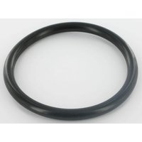 Vicon O-ring VN90081822