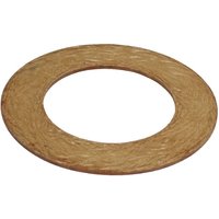 Bondioli&Pavesi Friction disc diameter100x160mm Bondioliand Pavesi 247000057R08