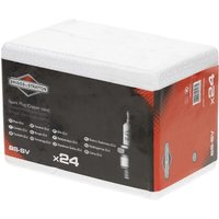 Briggs & Stratton Spark plugs BS-SV garage 24x 992301C