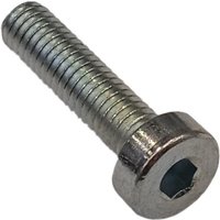 Ambrogio Screw C00029