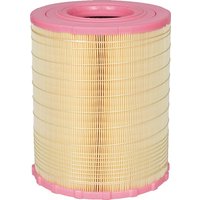 MANN-FILTER Air filter element C29010