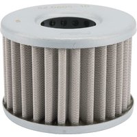 Fendt (AGCO) Filter element F230861020010