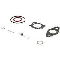 Briggs & Stratton Carburettor repair kit 793622