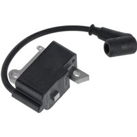 Stihl Ignition module 42434001301
