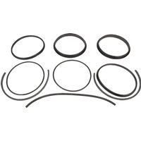 Battioni Pagani Seal rebuild kit 8''BIDI 6080200352
