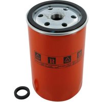 Lombardini Fuel filter 2175286