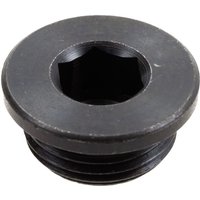Spicer Dana Plug 00065082