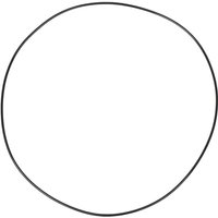 Carraro O-ring CI028668