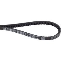 CNH V-belt 90500030