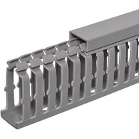 Tehalit Slotted cable trunking 60x25mm BA7600250