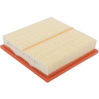 Lombardini Air filter ED0021752730S