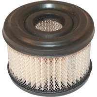 Briggs & Stratton Air filter 390492