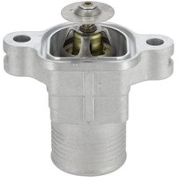 Weidemann Thermostat 1000256908