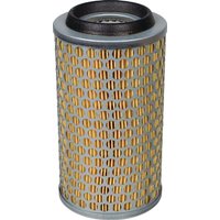 MANN-FILTER Air filter element C10431