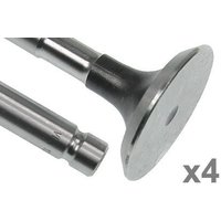 Vapormatic Exhaust valve (x4) VPA1290