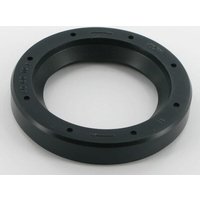 Lombardini Oil seal 1210076