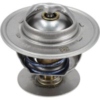 Weidemann Thermostat 1000364234