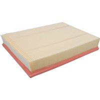 MANN-FILTER Air filter element C43121