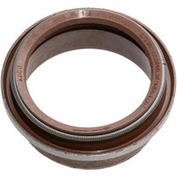 Agco Shaft Seal X550052603000