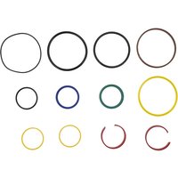 Weidemann Seal kit 1000256059