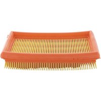 Lombardini Air filter 2175172