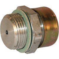 Mintor Breather Plug 3/4" BSP OF12