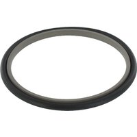 Hallite Rod seal 105.1x90x6.3mm SAS90105163