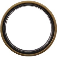 CNH Seal 84295352