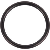 CNH O-ring 167268