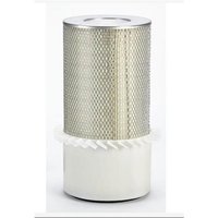 FPT Industrial Air filter 8019342FPT