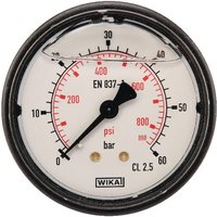 WIKA Pressure gauge diameter 63 0–60bar 1/4" rear MA6360B04PLGF