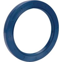 Vogelsang Oil seal DWD049HNB