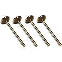 Vapormatic Exhaust valve (x4) VPA1360