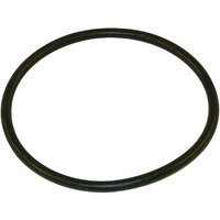 Arag O-ring 126.4x6.99mm 70 shore EPDM black 316000050