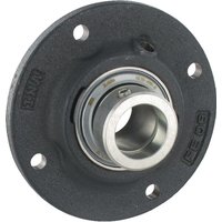 INA Bearing housing RFE30