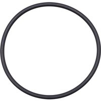Fendt (AGCO) Seal F822100070040