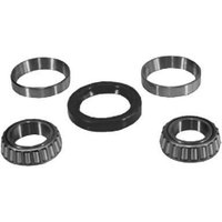 Vapormatic Wheel bearing kit VPJ2225