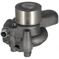 Water pump 87800489N