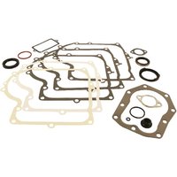 Briggs & Stratton Gasket set 494241