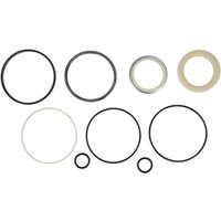 Kubota Seal kit RD41171870