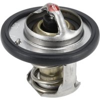 Weidemann Thermostat 1000264896