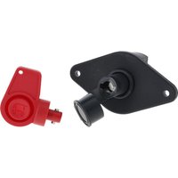 Pneutron Earth switch 250A for battery 482141