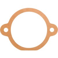 Maschio Gasket 0,3 mm M29100131R