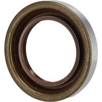 Agco Shaft seal X550128201000
