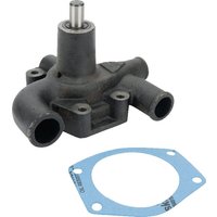 Massey Ferguson (AGCO) Water pump 3641823M91
