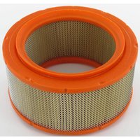 Lombardini Air filter 2175050