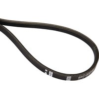 Tielbürger V-belt HB200048