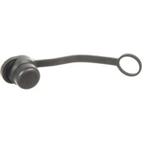 Parker Dust cap 3/4" NR75